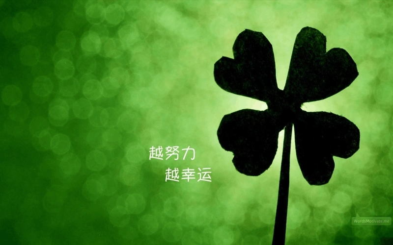 绝版珍藏微博空间说说心情唯美配图背景图壁纸矢量(ly珍藏)文字特别版