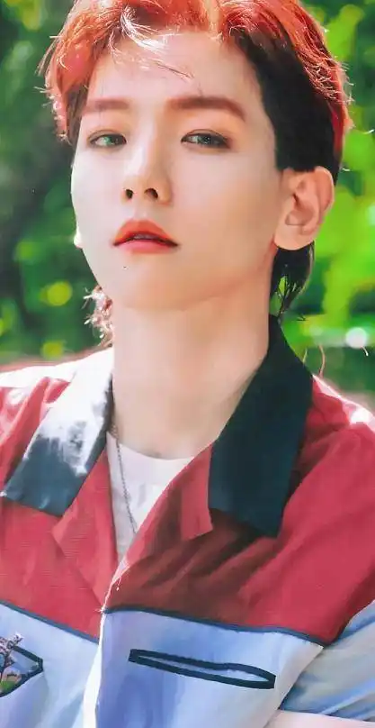 边伯贤新专狼尾造型,梦回kokobop时期,sm依旧不放弃