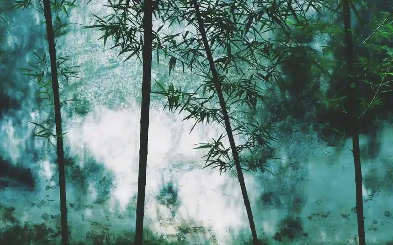 竹林,风景秀丽 1242x2688 iphone 11 pro/xs max 壁纸,图片,背景,照片