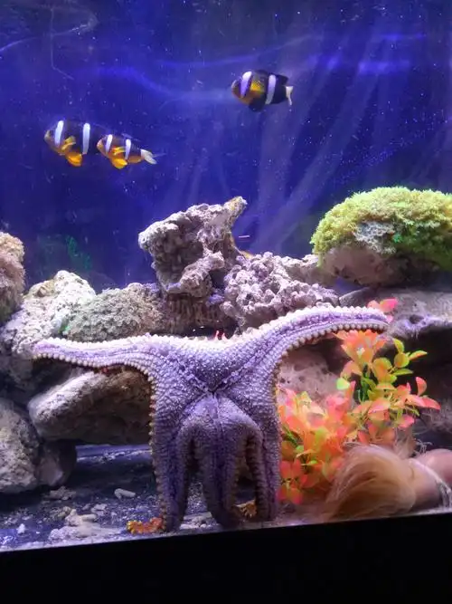 十月印象#海底世界真的很神秘噢!