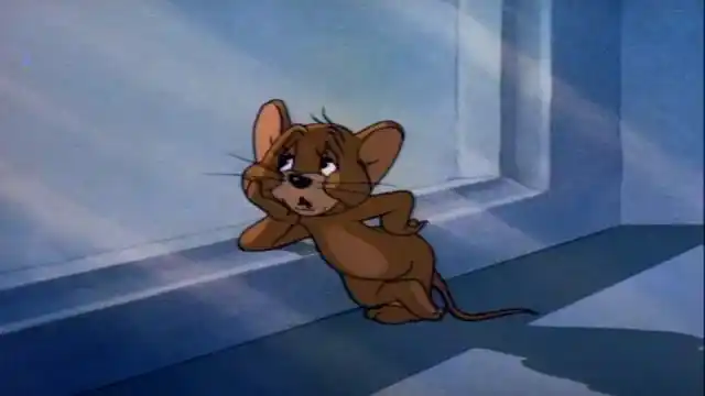 猫和老鼠:没有汤姆的日子,杰瑞不会快乐了!