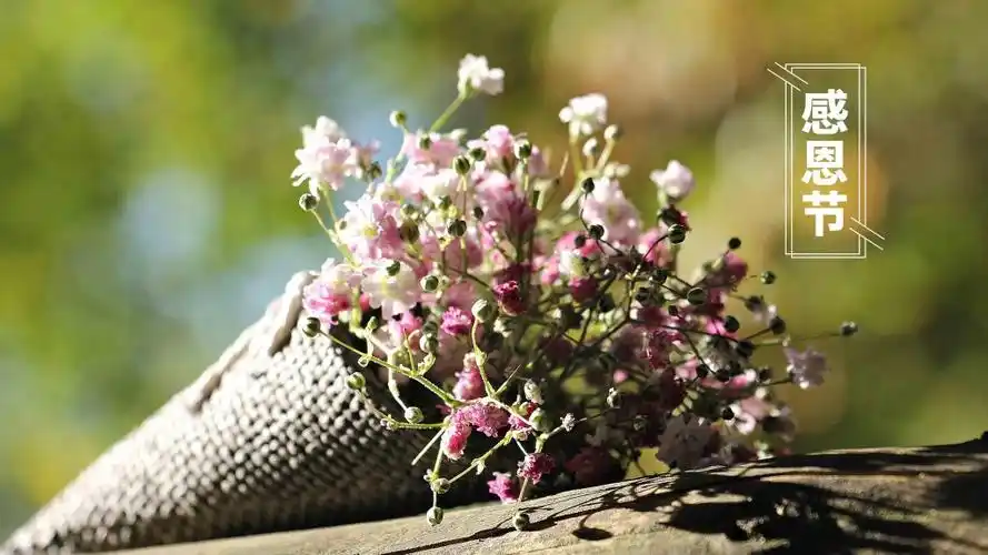 上一篇:2021年感恩节唯美锁屏手机壁纸下一篇:2021年感恩节主题图片