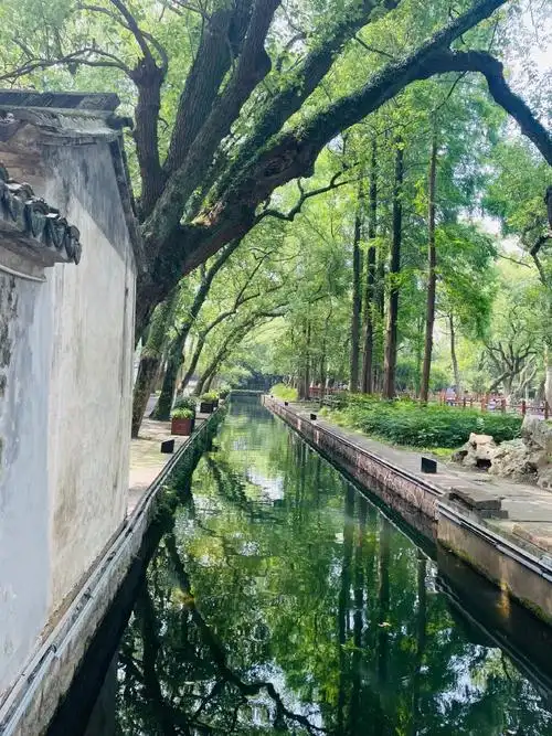 我的慢时光##江南好风光##夏天的满目翠绿##周末去哪儿##自然风光