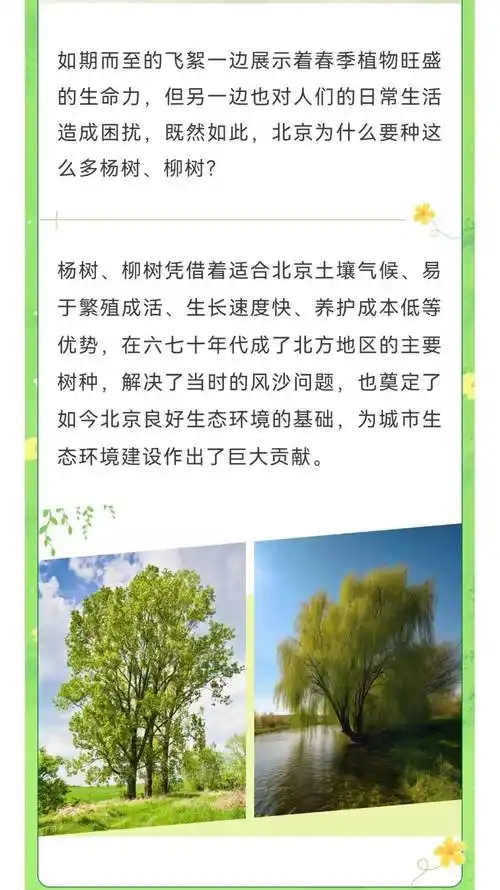 杨絮柳絮傻傻分不清,如何防护看这里