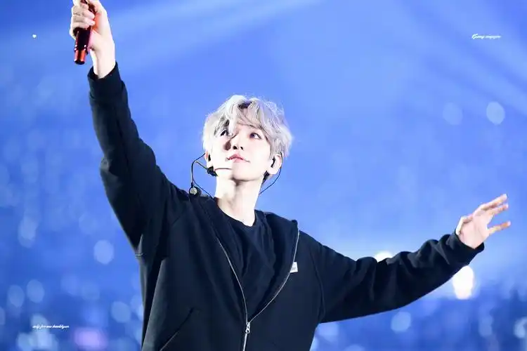 边伯贤 - 堆糖,美图壁纸兴趣社区