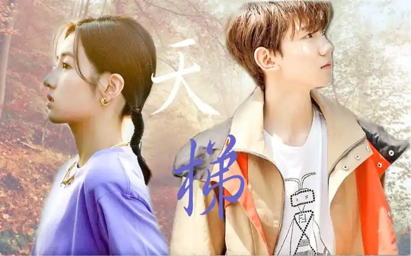 【王源 张子枫】能共你 沿途来爬天梯_哔哩哔哩_bilibili