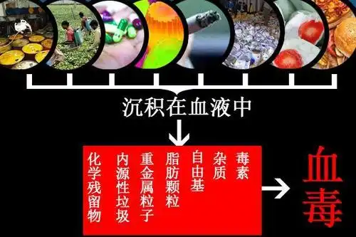 人的血液到底有多脏?30年积累多少毒素,睡前这么做,就能清血毒