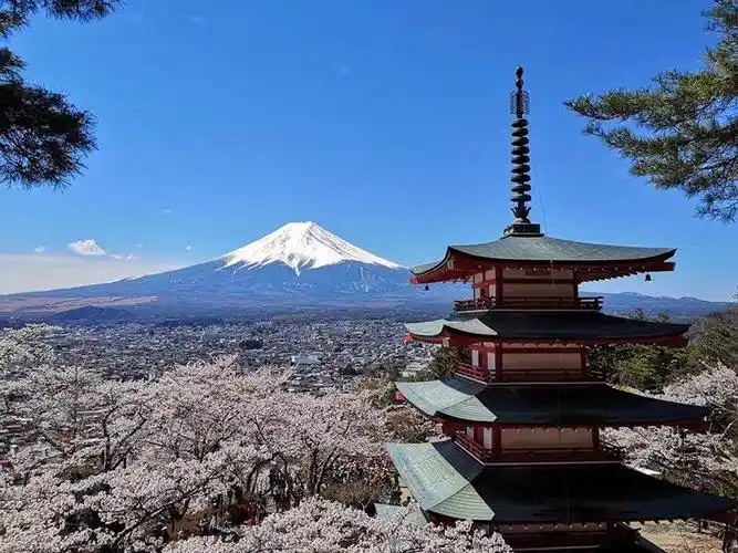 日本之旅(一)东京都富士山名胜风景区
