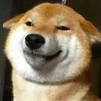 大黄狗头像搞笑 很火的搞笑大黄狗头像_微信头像图片大全