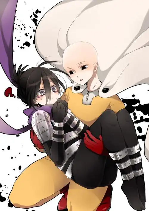 一拳超人 一击男 音速的索尼克 琦玉 琦索 国人作品 转载自p站 勿侵删