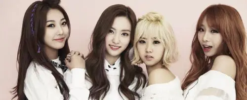 求一个韩国四人女子组合的名字!