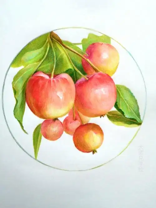 彩铅入门教程分享挂墙上也美美哒