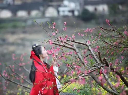 桃花十里三生石,石坳古韵绽芳华.