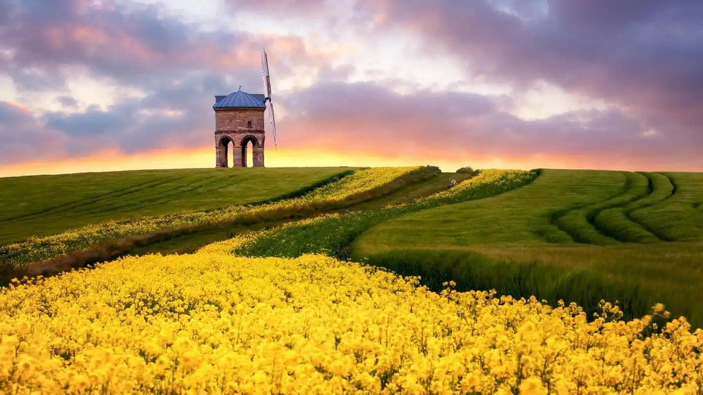 油菜花田园优美自然风光图片桌面壁纸高清大图预览1920x1080_风景壁纸