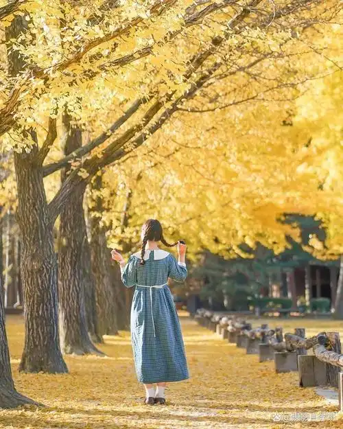 背影照片你会拍吗?用这6个摄影技巧拍背影,自然不做作