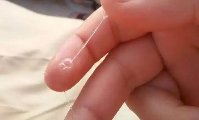 排卵期到了女人身上会有3种变化备孕的你清楚几种