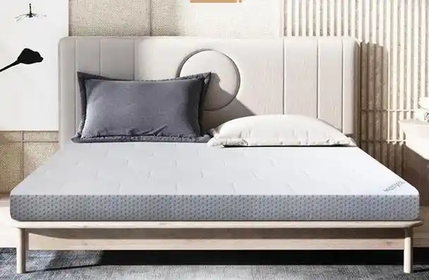 梦百合床垫以其专业的记忆棉材质和卓越的性价比在业界享有盛誉,同时