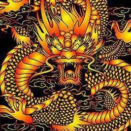 求一张 霸气 ,龙头朝正面的 龙的图片做qq头像的!