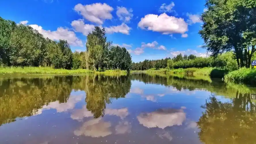 北票凉水河湿地公园盛夏避暑好去处