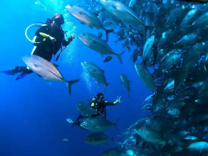 因为诗巴丹是全世界最美的潜水点之一,它也是东南亚最美的潜水点,不过