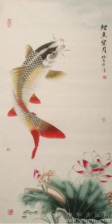 鲤鱼荷花鱼简笔画