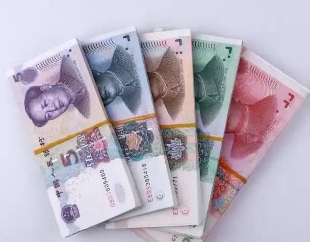 人民币只有在中国叫"人民币"出了国的叫法很高大上