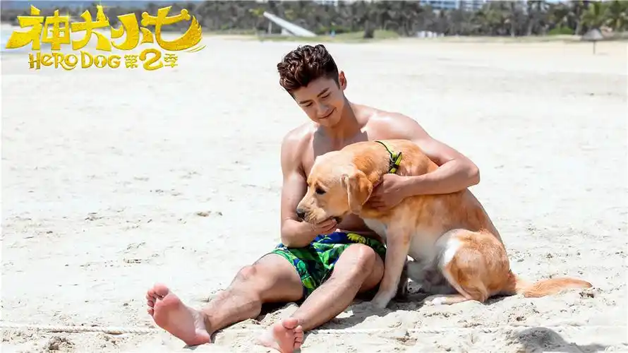 张云龙神犬小七第二季用微笑虏获粉丝心