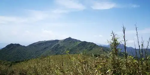 秦岭高山草甸~我们来了