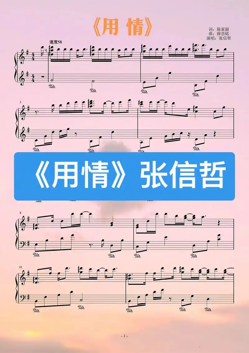 钢琴《用情》张信哲 五线谱.#用情 #简谱 #伴奏 #口琴 - 抖音