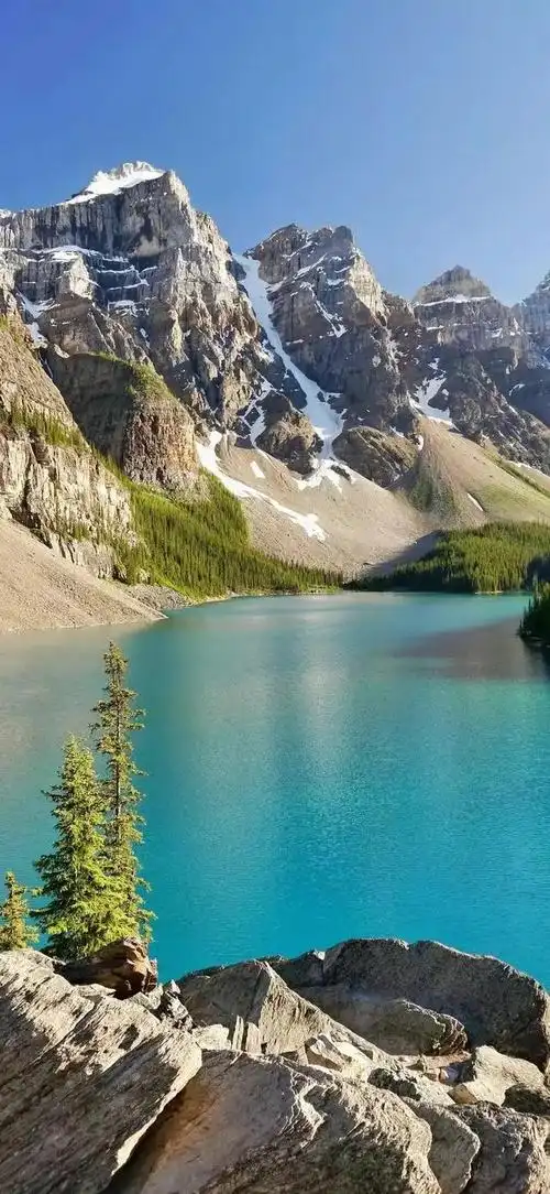 每天,我们无数次地解锁手机,查看信息,浏览社交媒体,或是简单地放松一