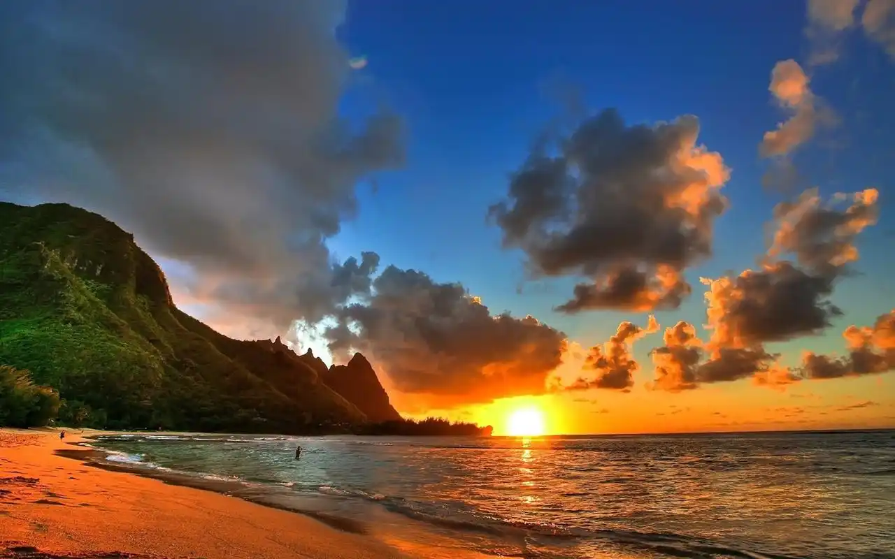 温州市医院开的诊断证明图片