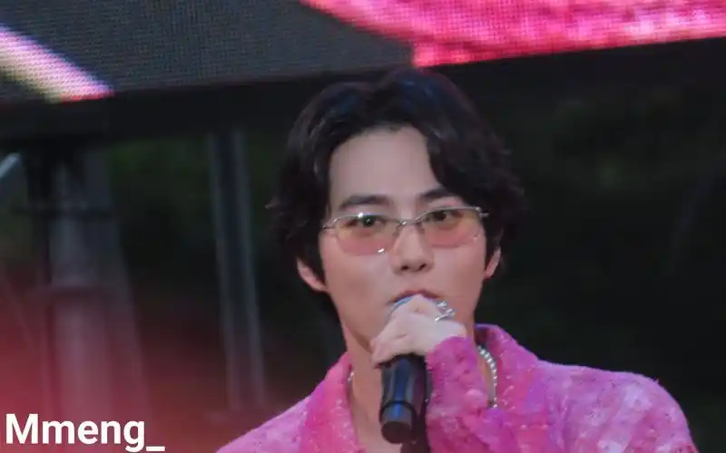 suho金俊勉首尔公园音乐节舞台合集