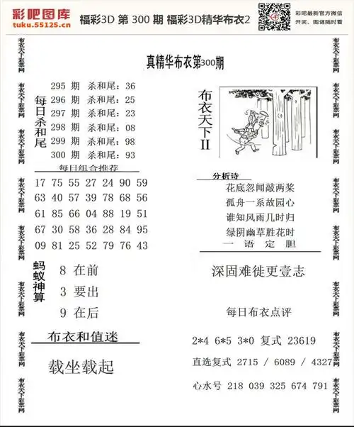 福彩3d精华布衣2