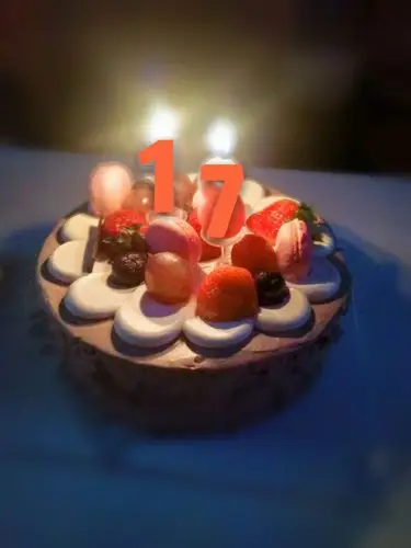 十七岁的第一个蛋糕