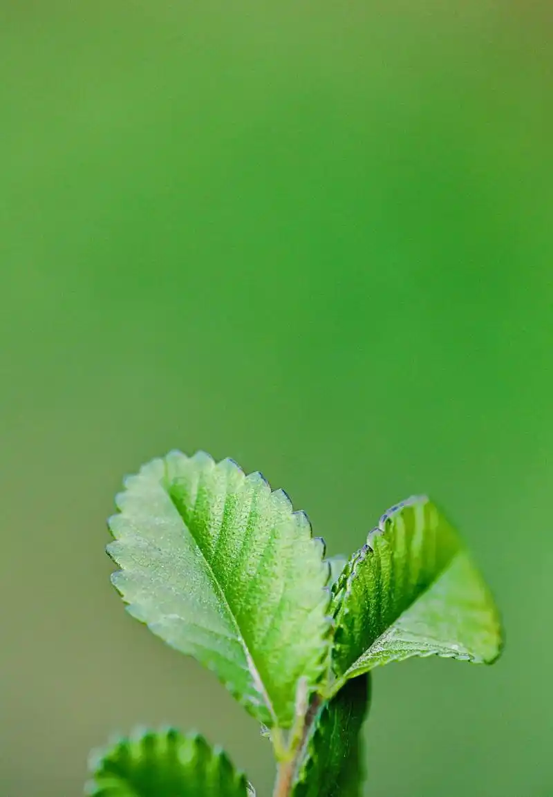 888_1280竖版 竖屏