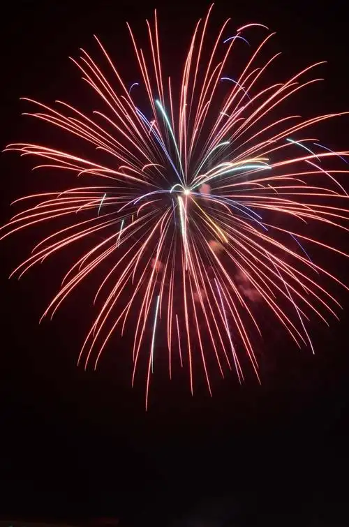 2021除夕夜绚烂的烟火,图片大全,高清,图库-回车桌面