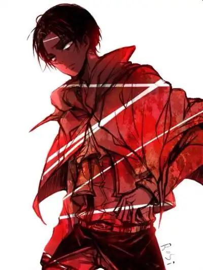 兵长- 堆糖,美图壁纸兴趣社区