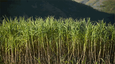 400_223gif 动态图 动图