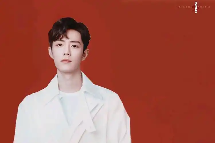 你携微风来白衬衣的肖战