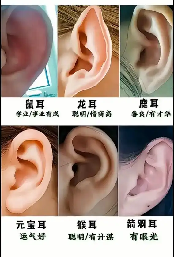 面相 耳朵的面相 - 抖音