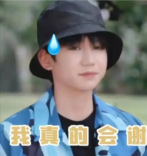 那些年王源牌表情包好青春