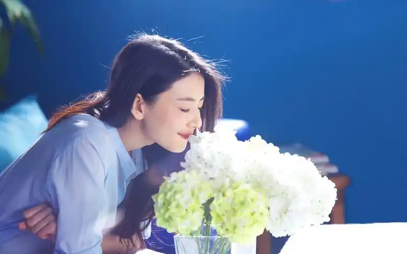 美女明星 高圆圆