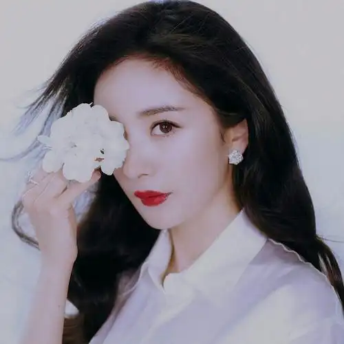 杨幂头像二传cr收集家叶芝清