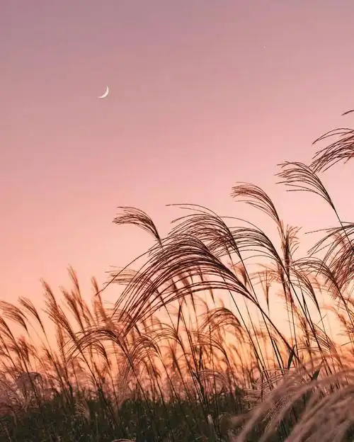 撩人的早安一看就舒心的图片