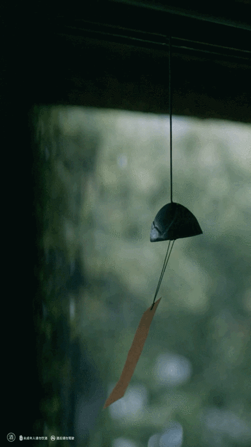 圈主投2020年意类为rio微醺制作的《走在雨中》一票:干净的画面在视觉