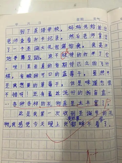 三年级日记优秀作品选(8)