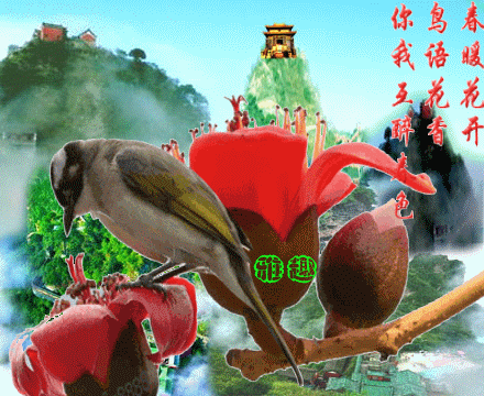 440_360gif 动态图 动图