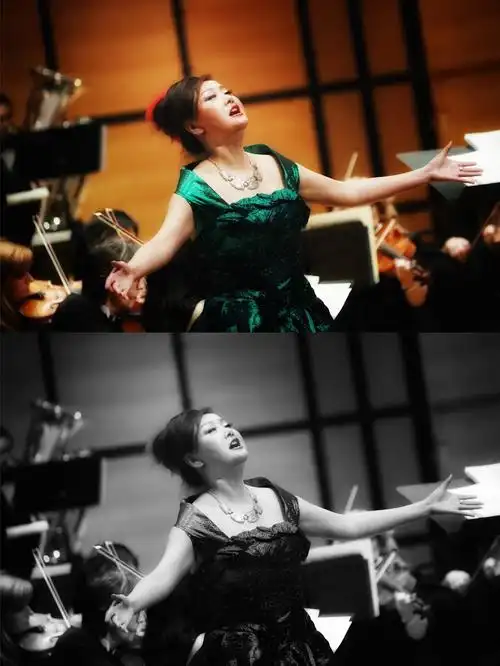 女高音歌唱家陈琳老师,受邀请演唱张详雨老师原创的一首高难度花腔