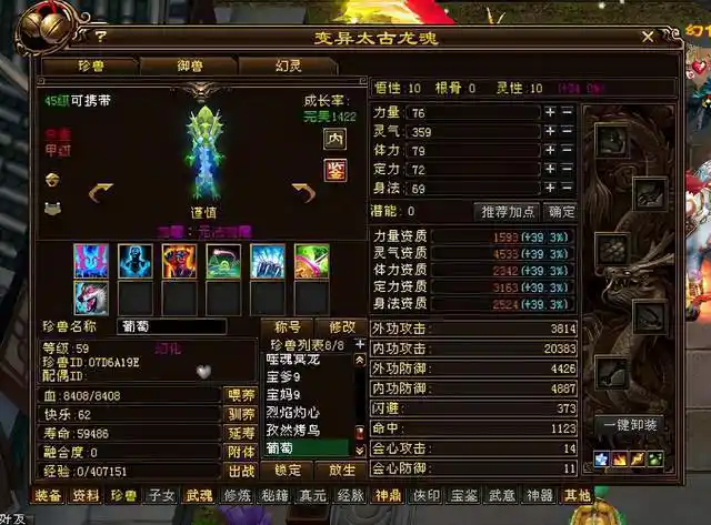 天龙八部一人包揽全服所有45极品宝宝资质比95宝宝还高