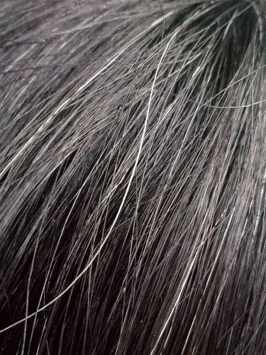 【第165步】惊见妻子头上白发生